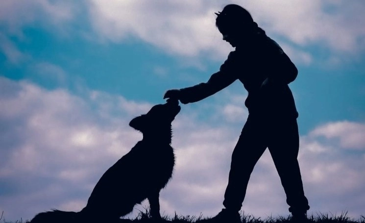 Pet razloga zašto svaki čovjek treba imati psa